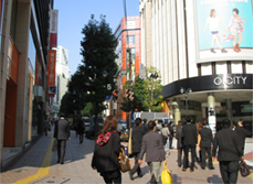 渋谷区役所までの道のりの１コマ